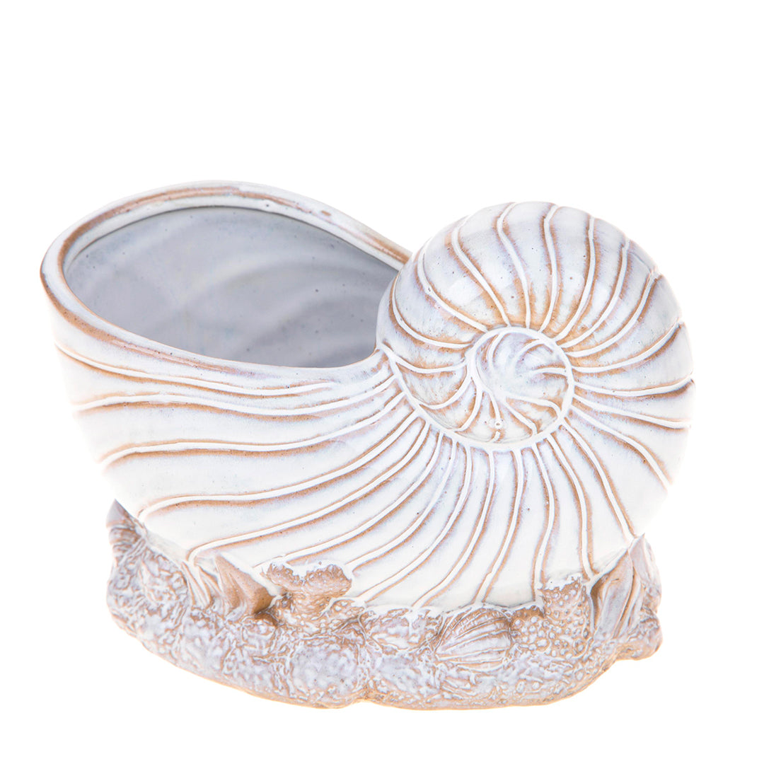 Vaso conchiglia con base • 14 cm