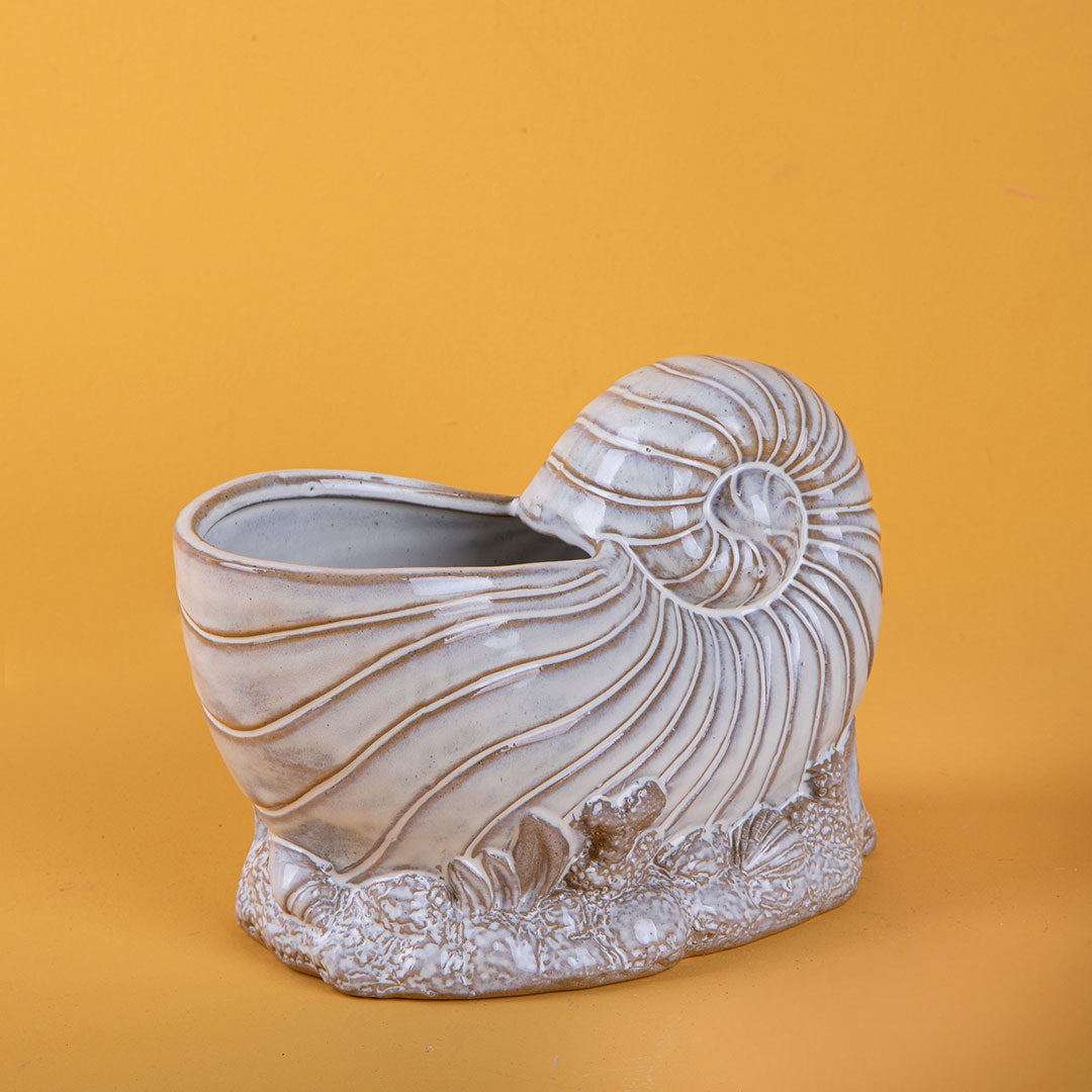 Vaso conchiglia con base • 14 cm