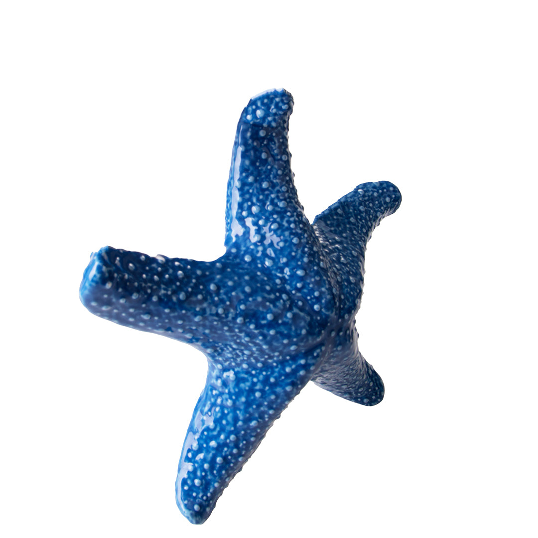Decorazione marina Stella Marina • 6,5 cm