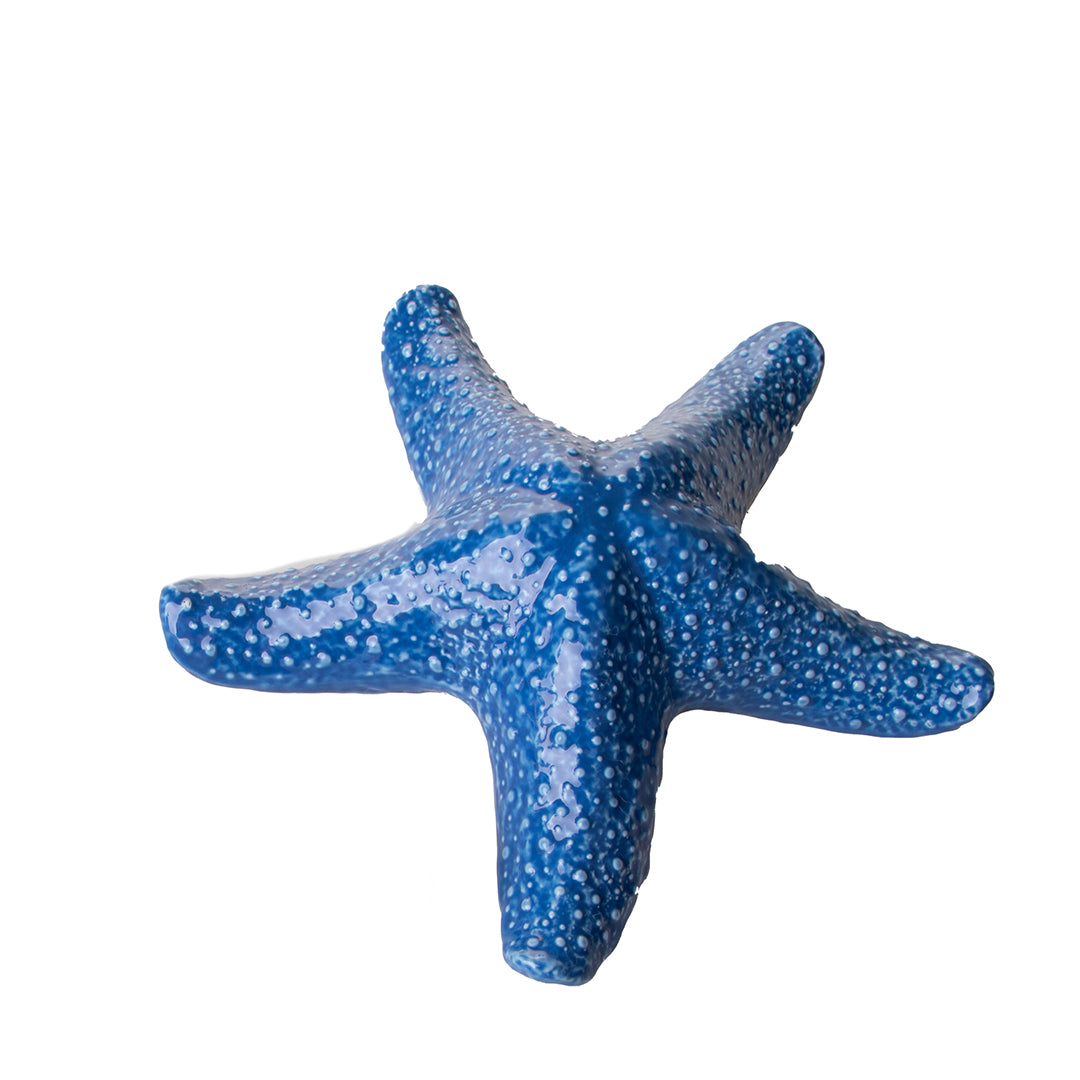 Decorazione marina Stella Marina • 6,5 cm