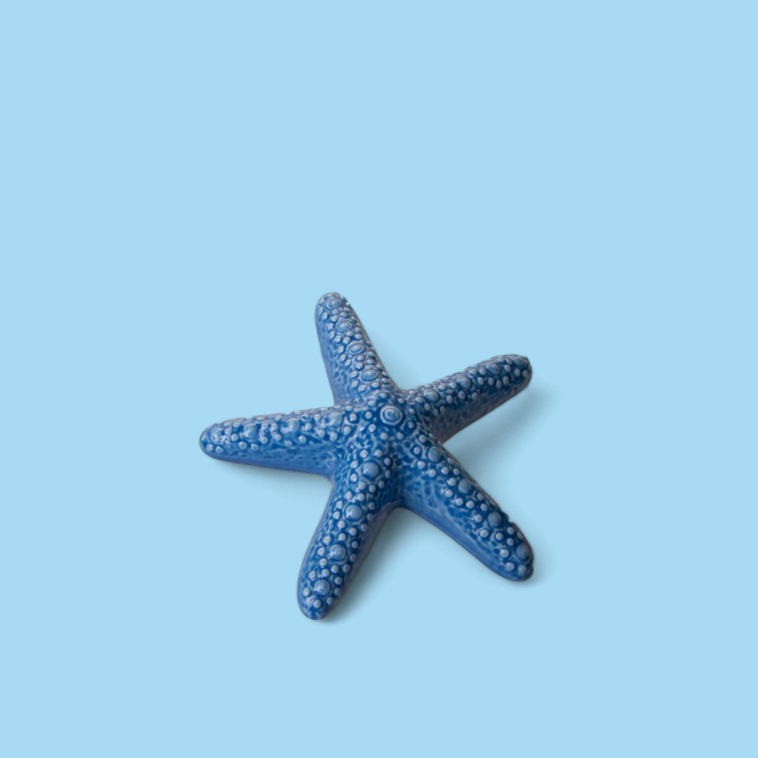 8 Pezzi • Decorazione marina Stella Marina • 2,3 cm