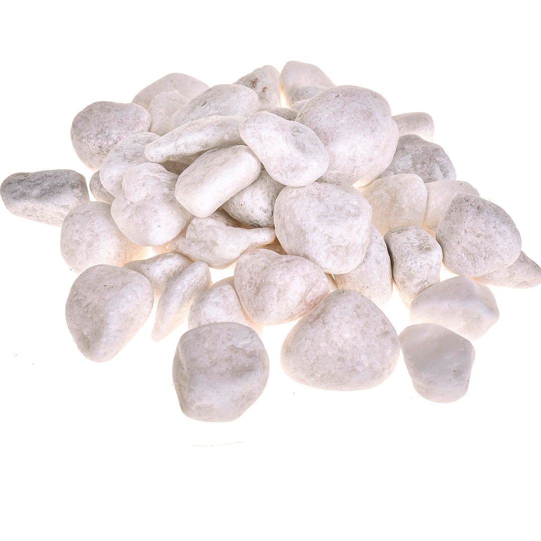 12 Pezzi • Sassolini bianchi 1 kg • 39 cm