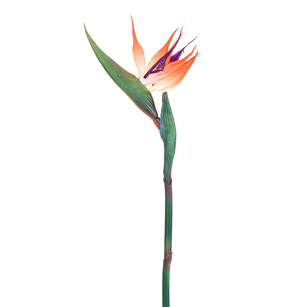 3 Pezzi • Fiore di Strelizia artificiale • 83 cm