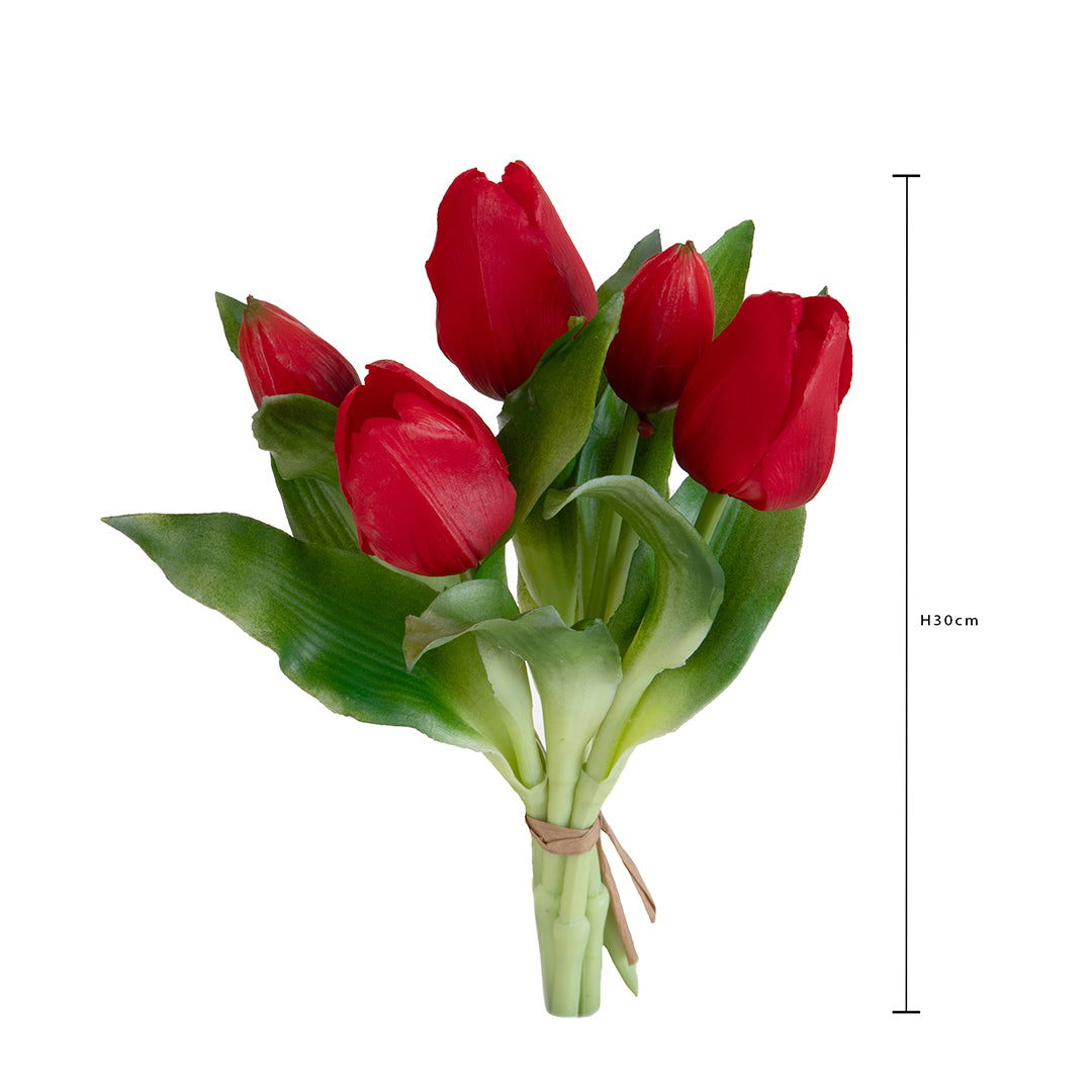Tulipano Mazzo 5 pezzi • 30 cm