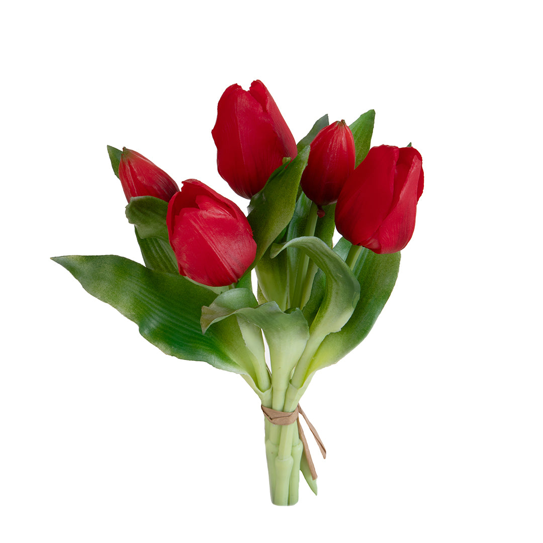 Tulipano Mazzo 5 pezzi • 30 cm