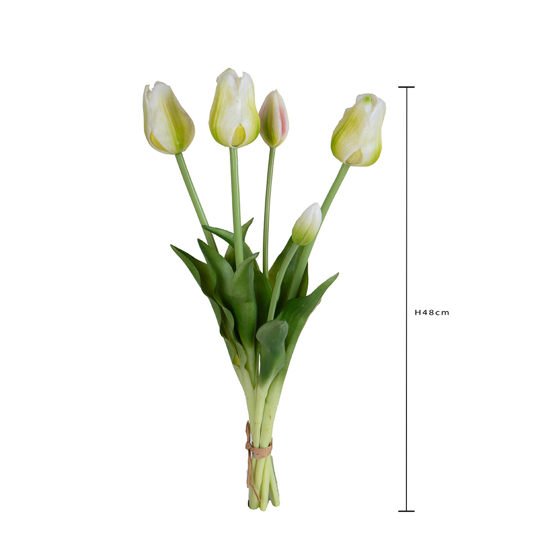 Tulipano Mazzo 5 pezzi • 48 cm