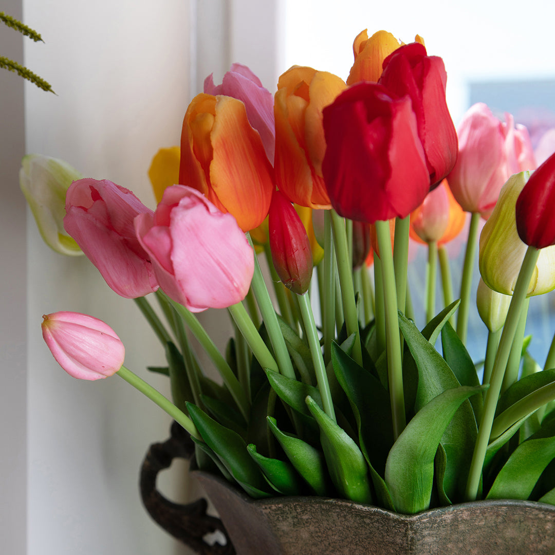 Tulipano Mazzo 5 pezzi • 48 cm