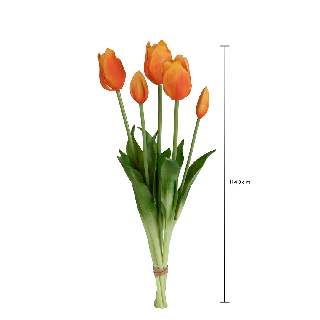 Tulipano Mazzo 5 pezzi • 48 cm