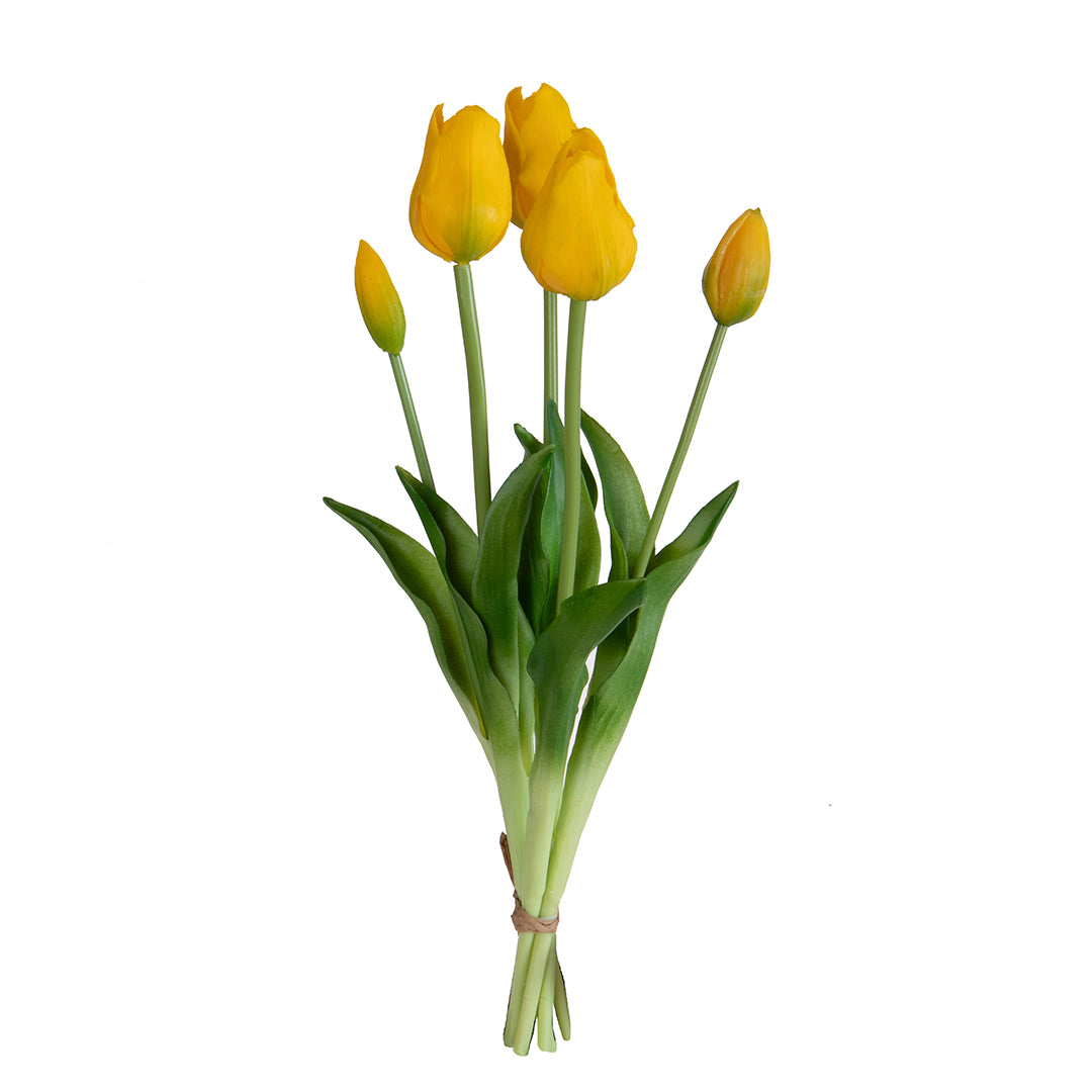 Tulipano Mazzo 5 pezzi • 48 cm
