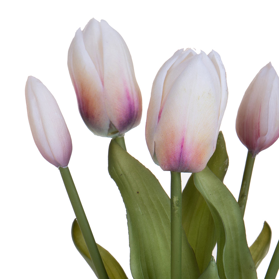 Tulipano per 5 fiori • 39 cm