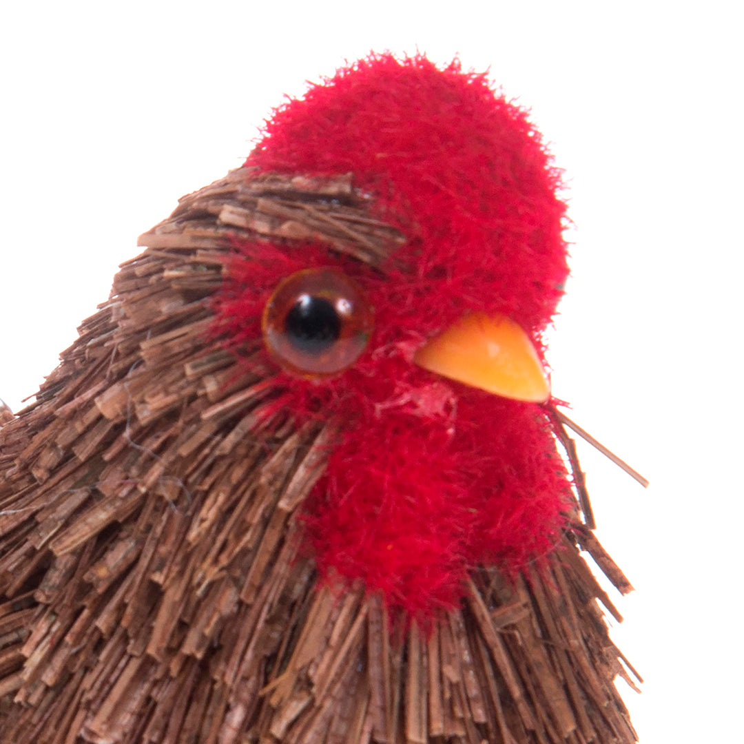 Gallina • 5 cm