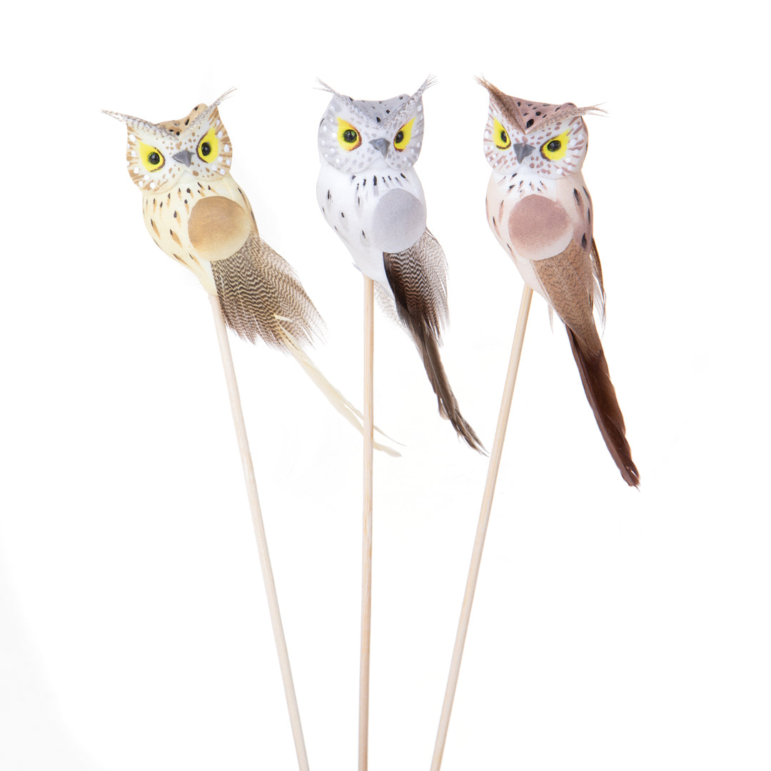 3 Pezzi • Pick civetta • 23 cm