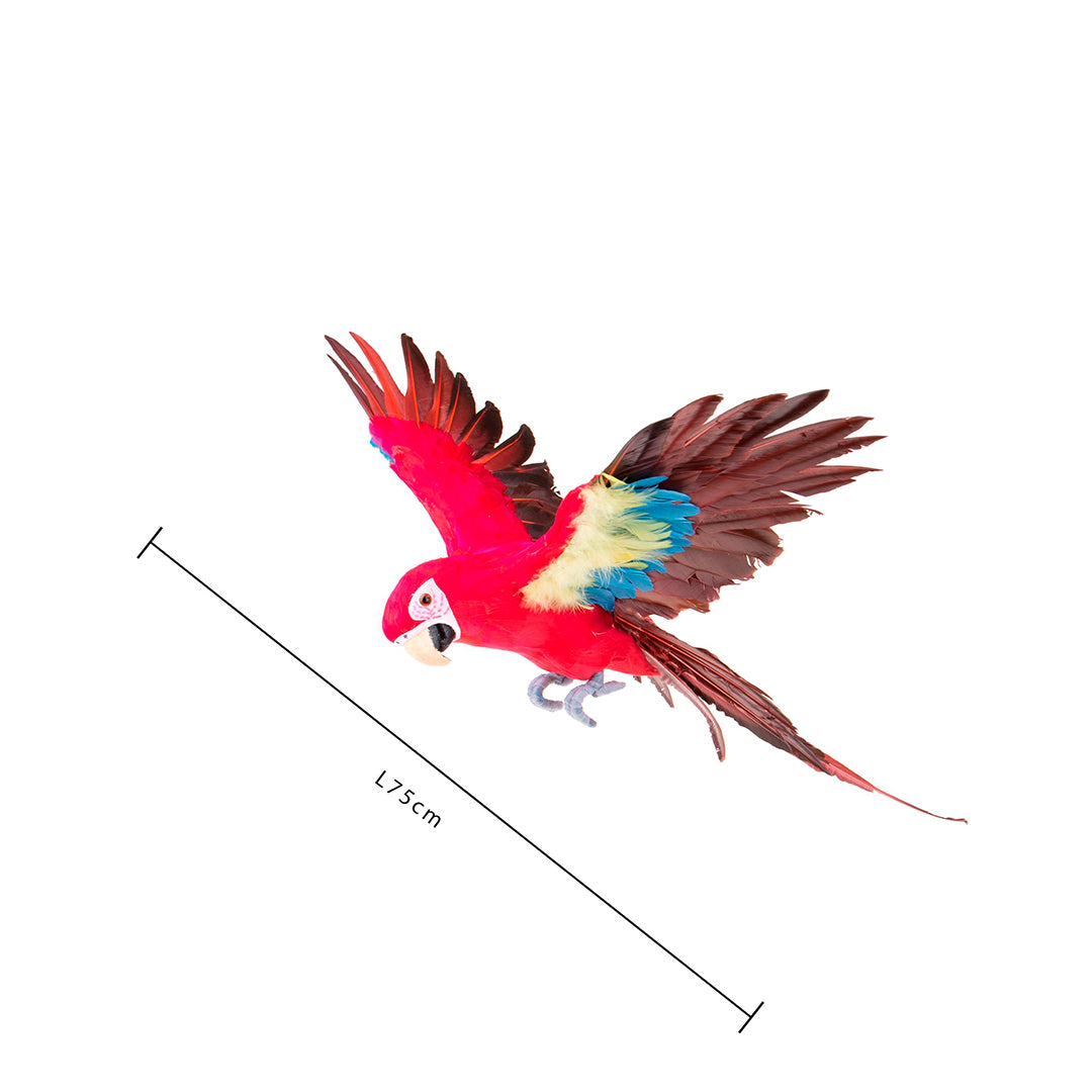 Pappagallo ali aperte • 75 cm