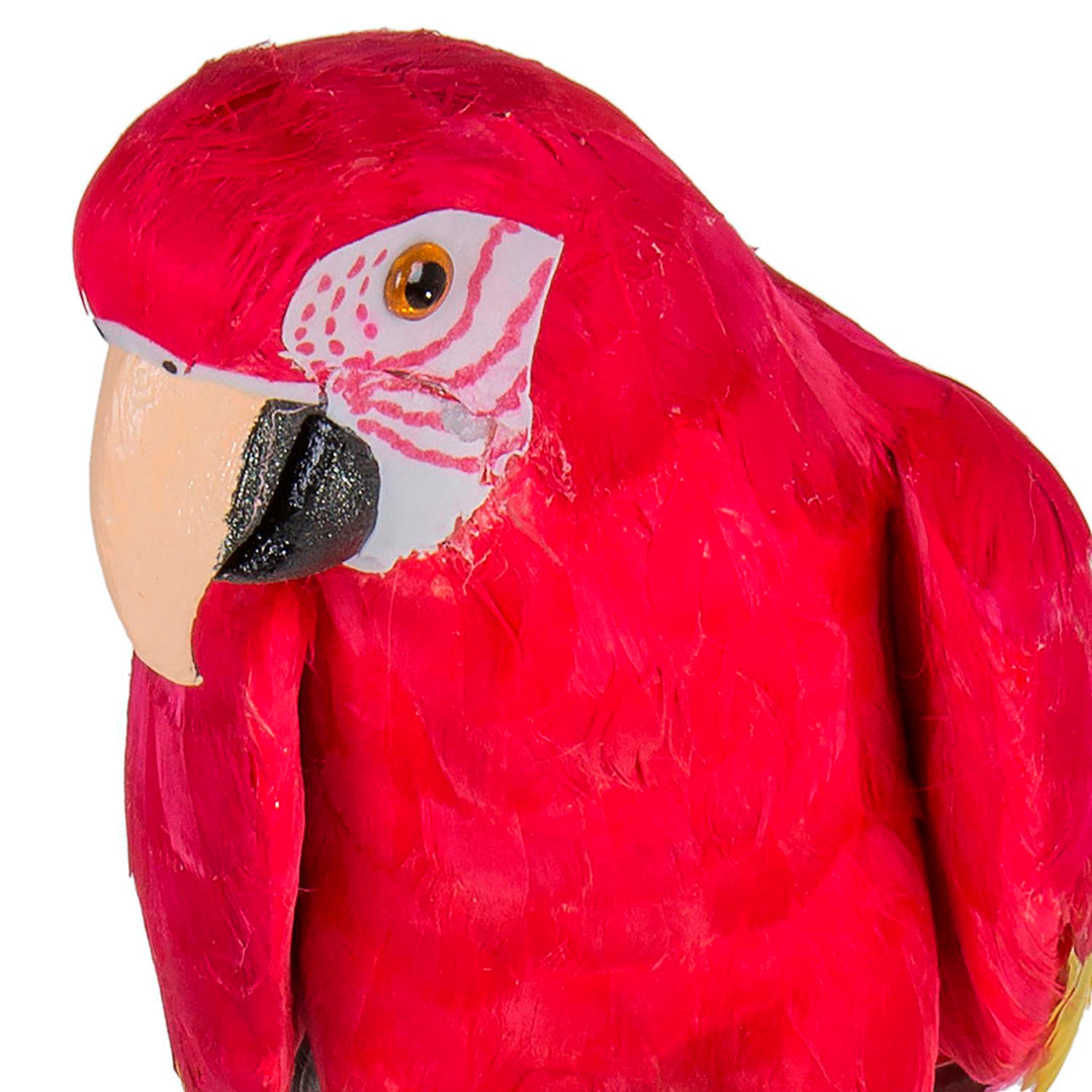 Pappagallo • 70 cm