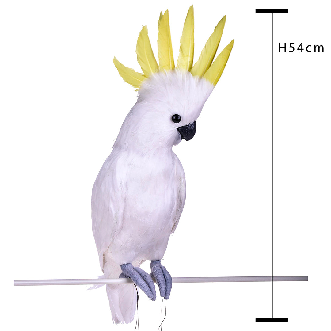Pappagallo cacatua • 54 cm