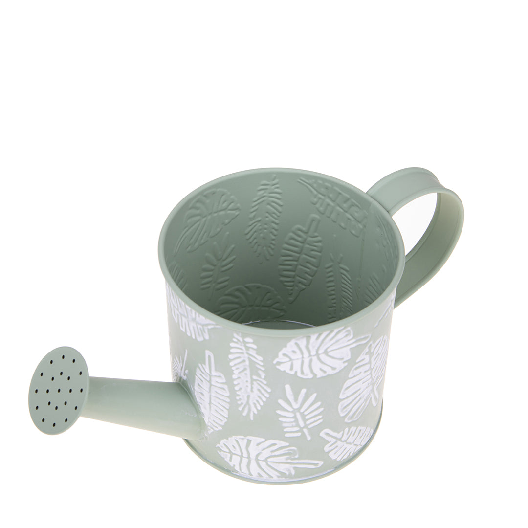 3 Pezzi • Annaffiatoio • 12 cm