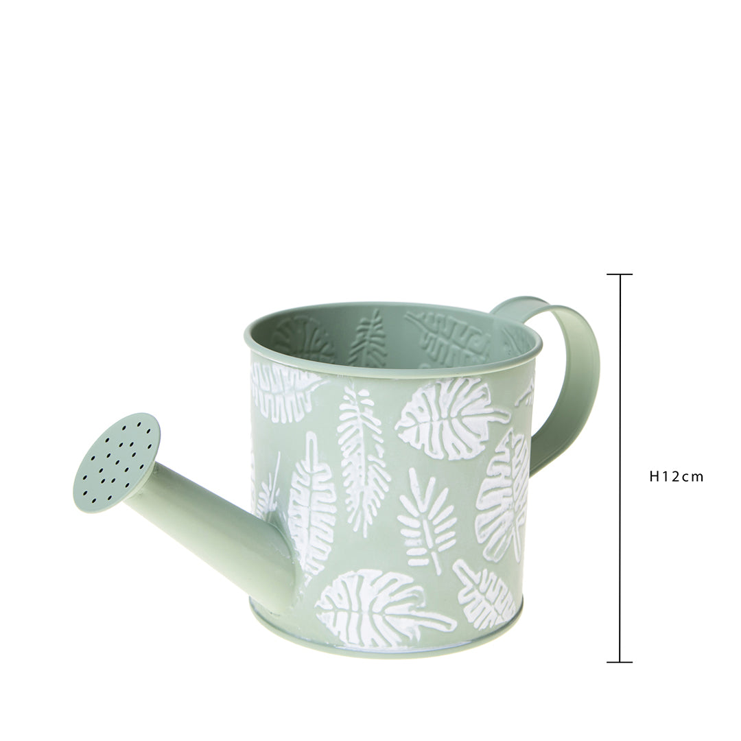 3 Pezzi • Annaffiatoio • 12 cm