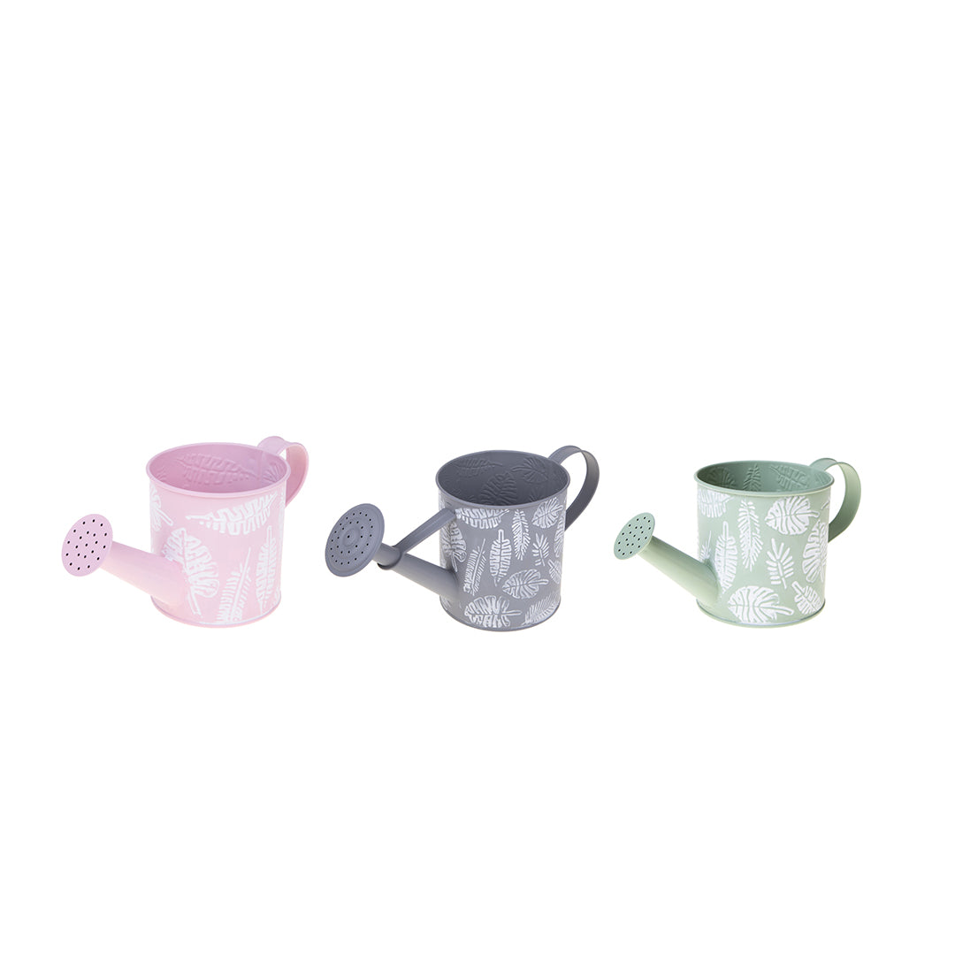 3 Pezzi • Annaffiatoio • 12 cm