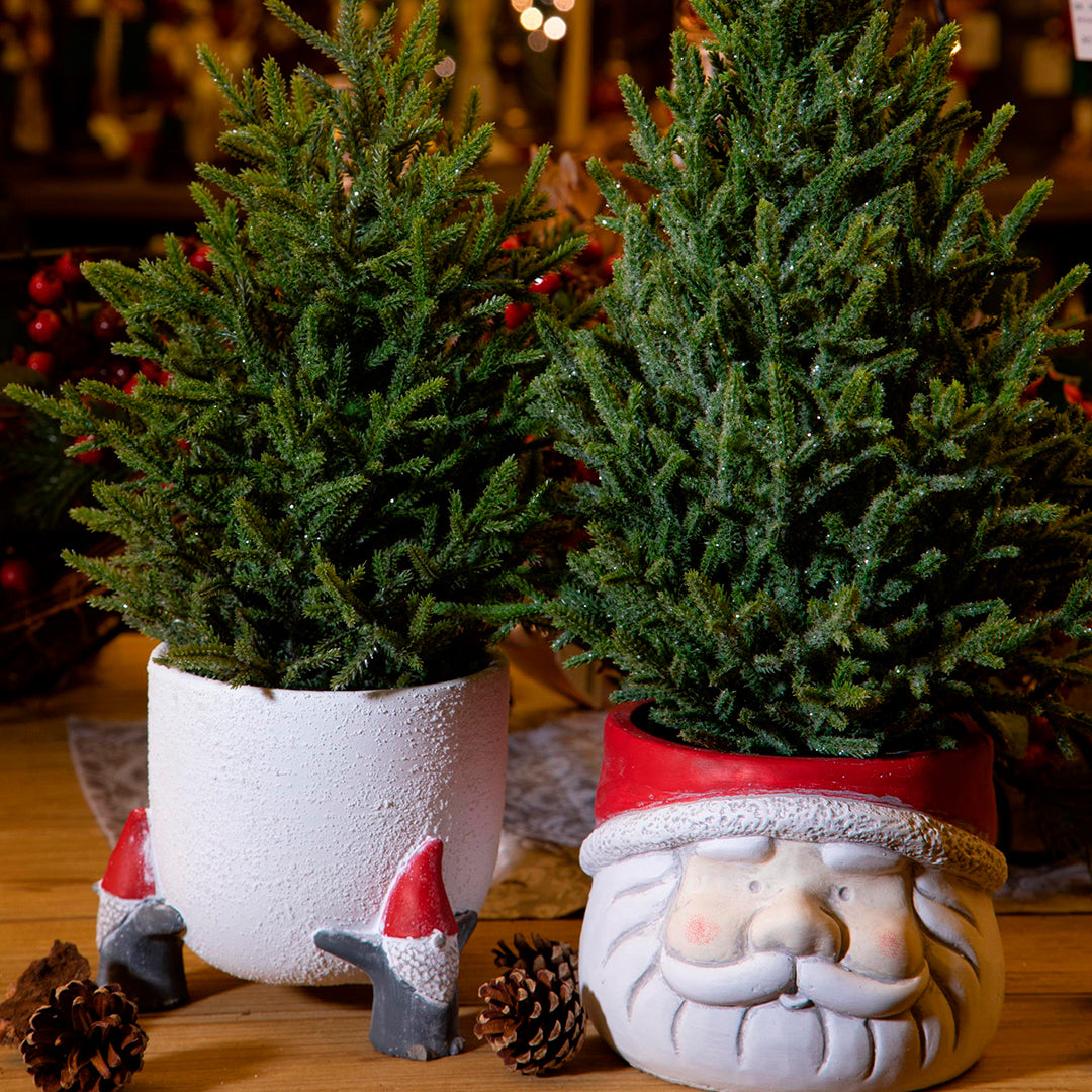 2 Pezzi • Cachepot con elfi • 16,5 cm