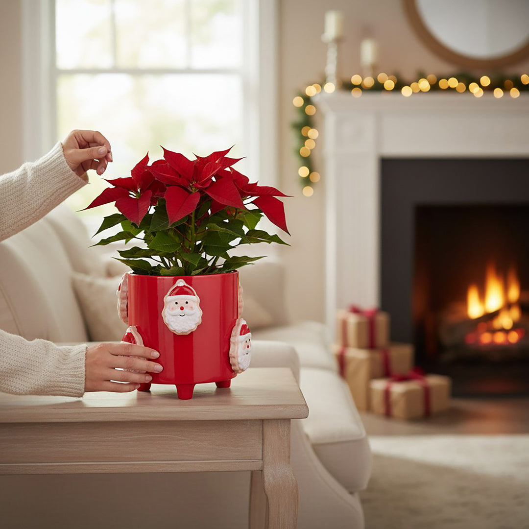 Cachepot con babbo natale • H 15 cm