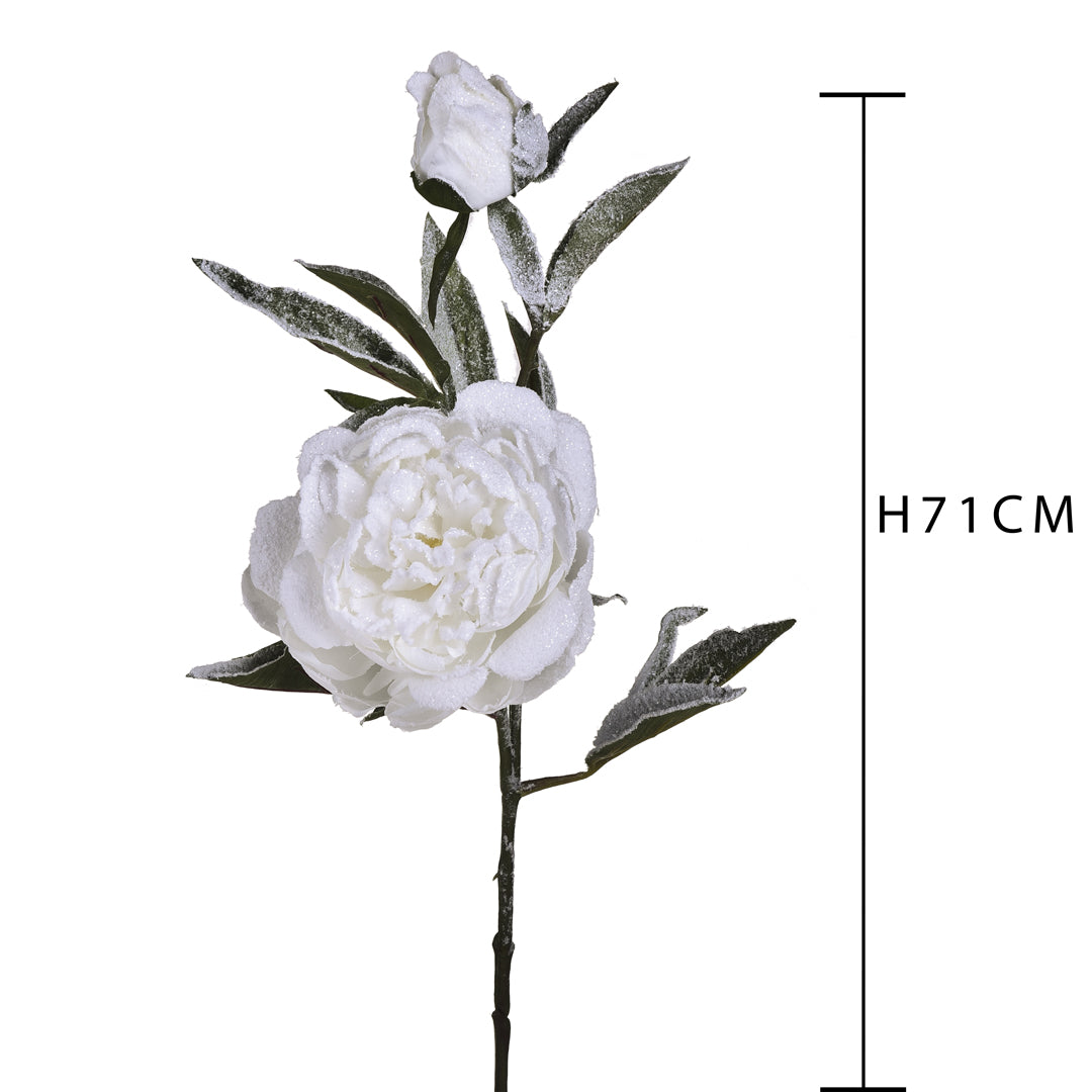 Pezzi 12 • Peonia con neve • H 71 cm