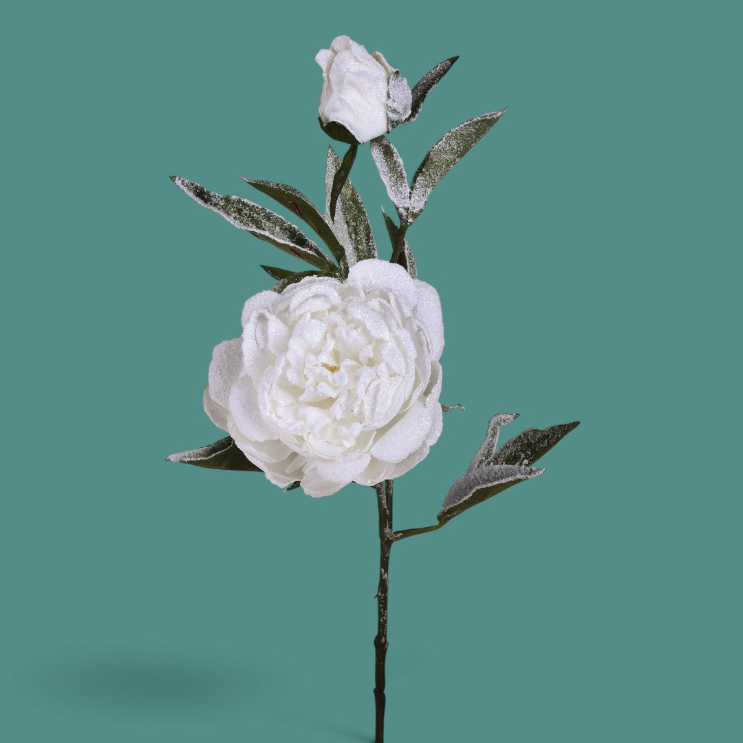 Pezzi 12 • Peonia con neve • H 71 cm