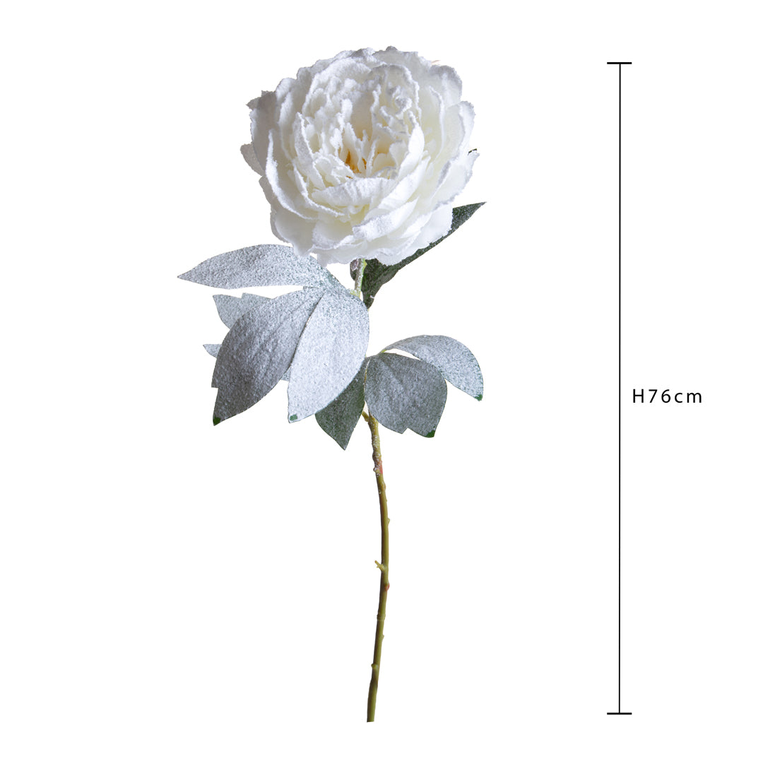 6 Pezzi • Peonia con Neve • 76 cm