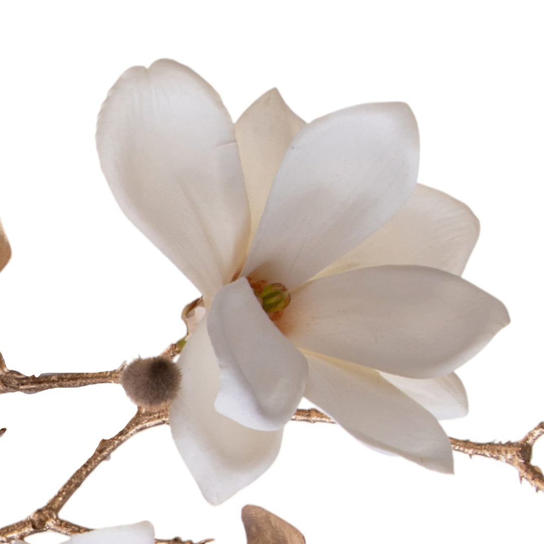 Pezzi 12 • Magnolia x • H 51 cm