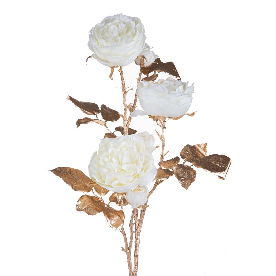 3 Pezzi • Rosa inglese per 6 • 101 cm