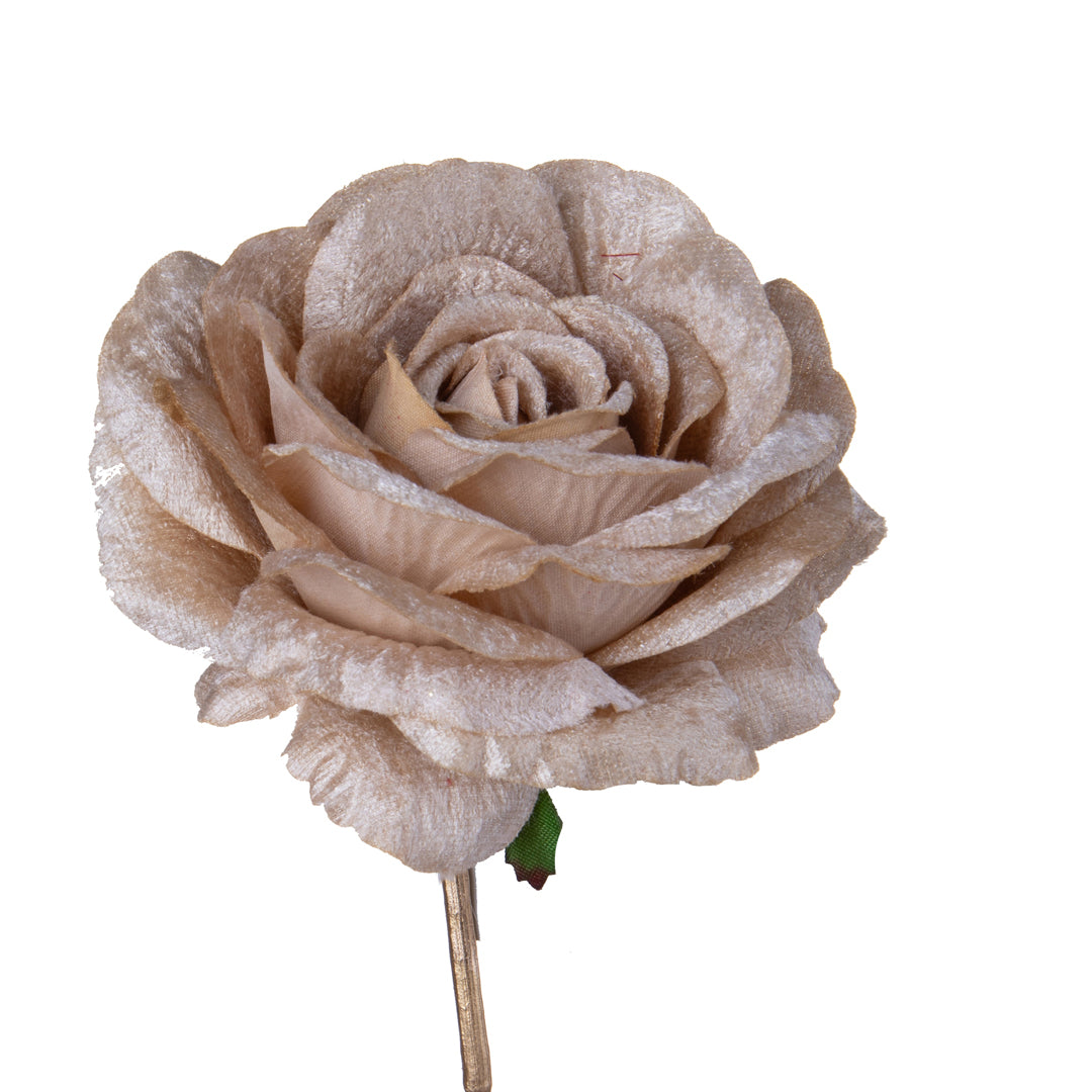 Pezzi 12 • Rosa singola velvet • H 65 cm