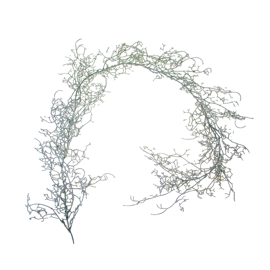 Ghirlanda tillandsia • H 13 cm