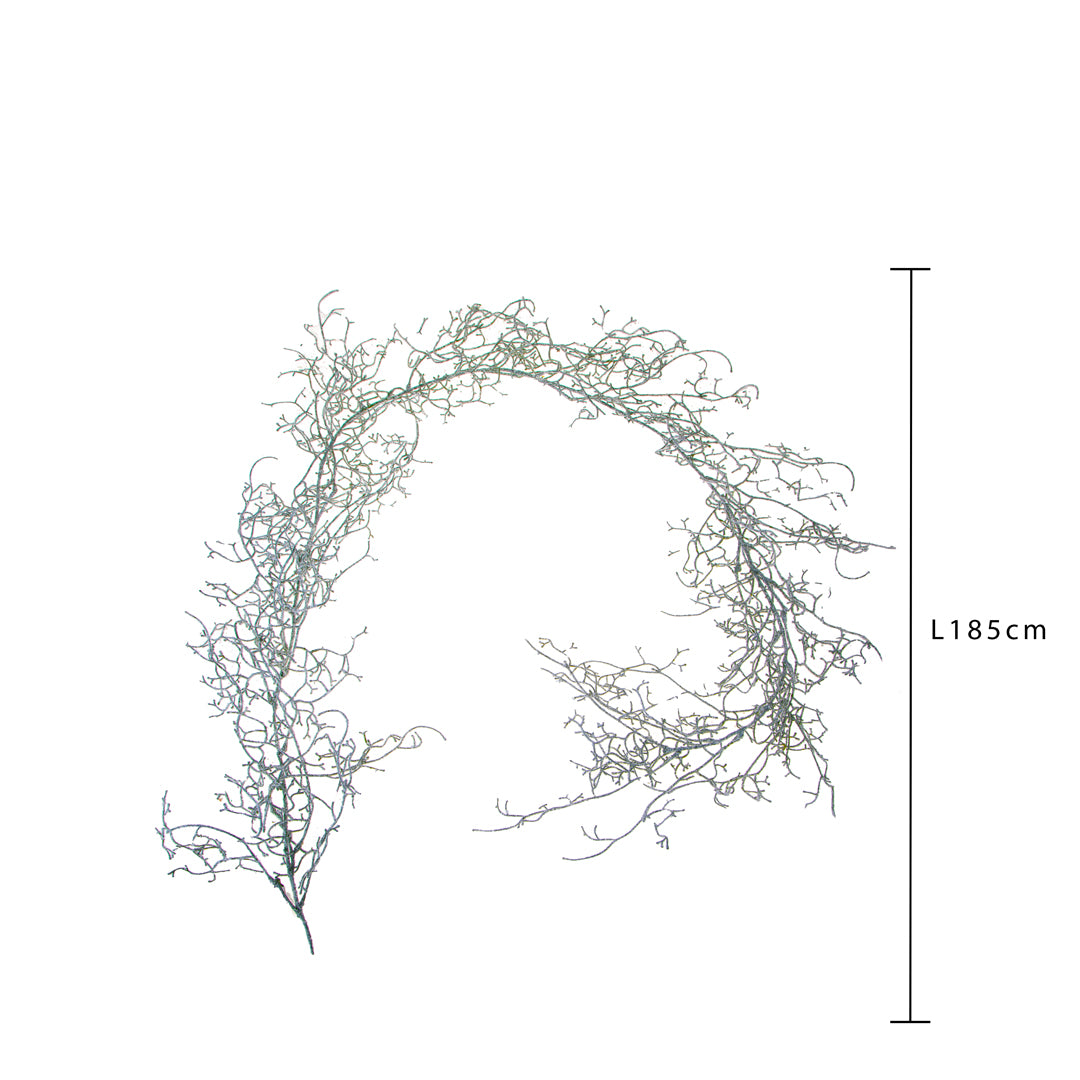 Ghirlanda tillandsia • H 13 cm