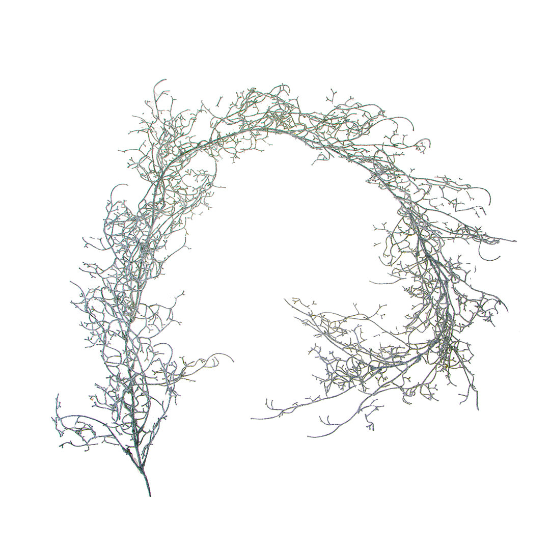 2 Pezzi • Ghirlandia tillandsia • 170 cm