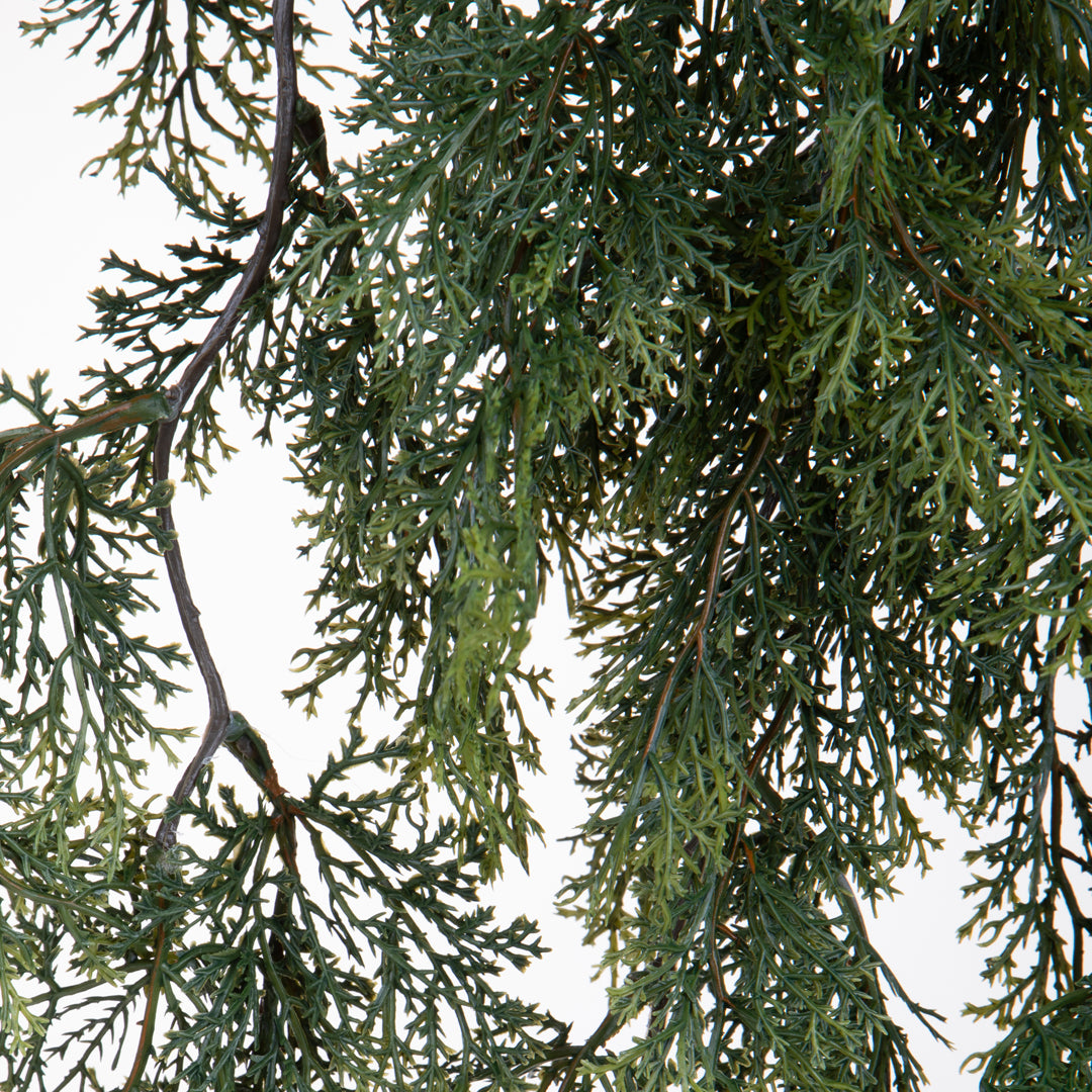 Festone Cedro • 30 cm