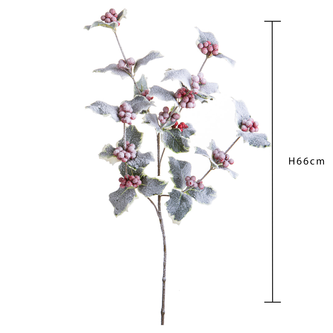 6 Pezzi • Agrifoglio ramo per 3 innevato • 65 cm