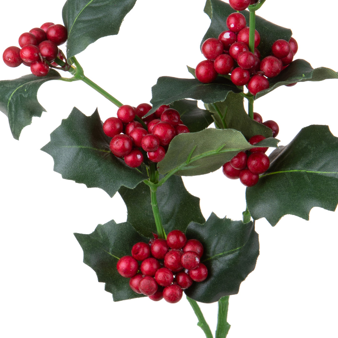 12 Pezzi • Agrifoglio per 2 • 55 cm