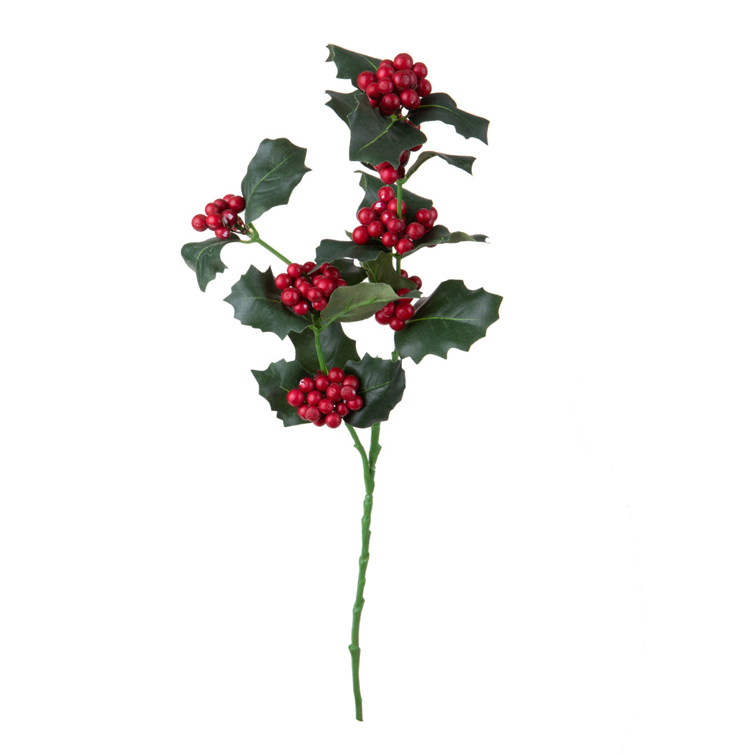 12 Pezzi • Agrifoglio per 2 • 55 cm