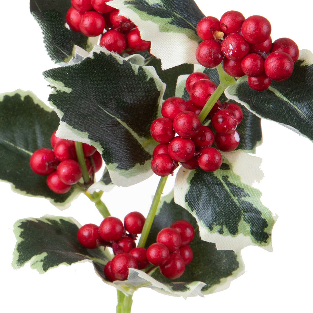 12 Pezzi • Agrifoglio per 2 diramazioni • 54 cm