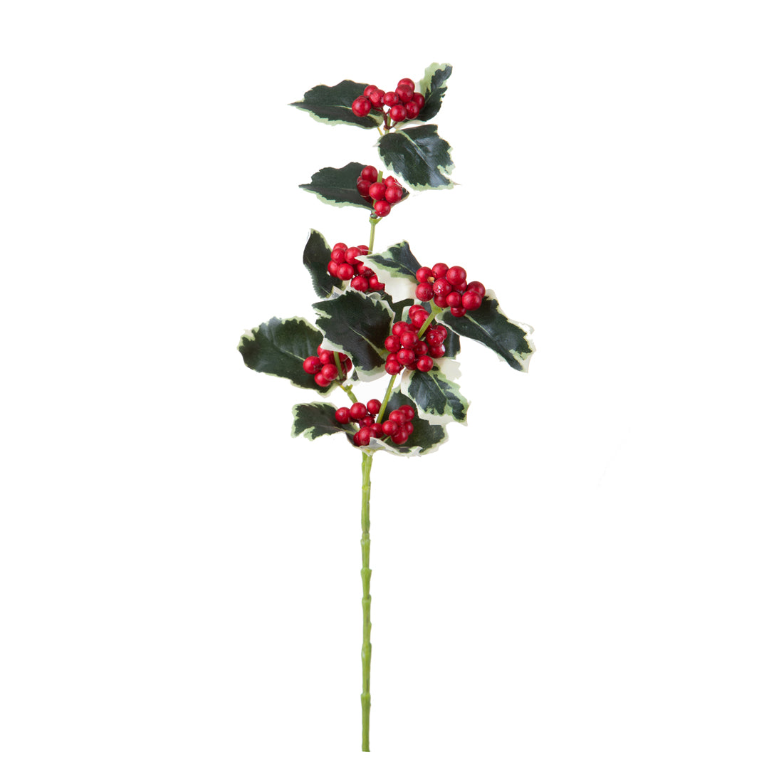 12 Pezzi • Agrifoglio per 2 diramazioni • 54 cm