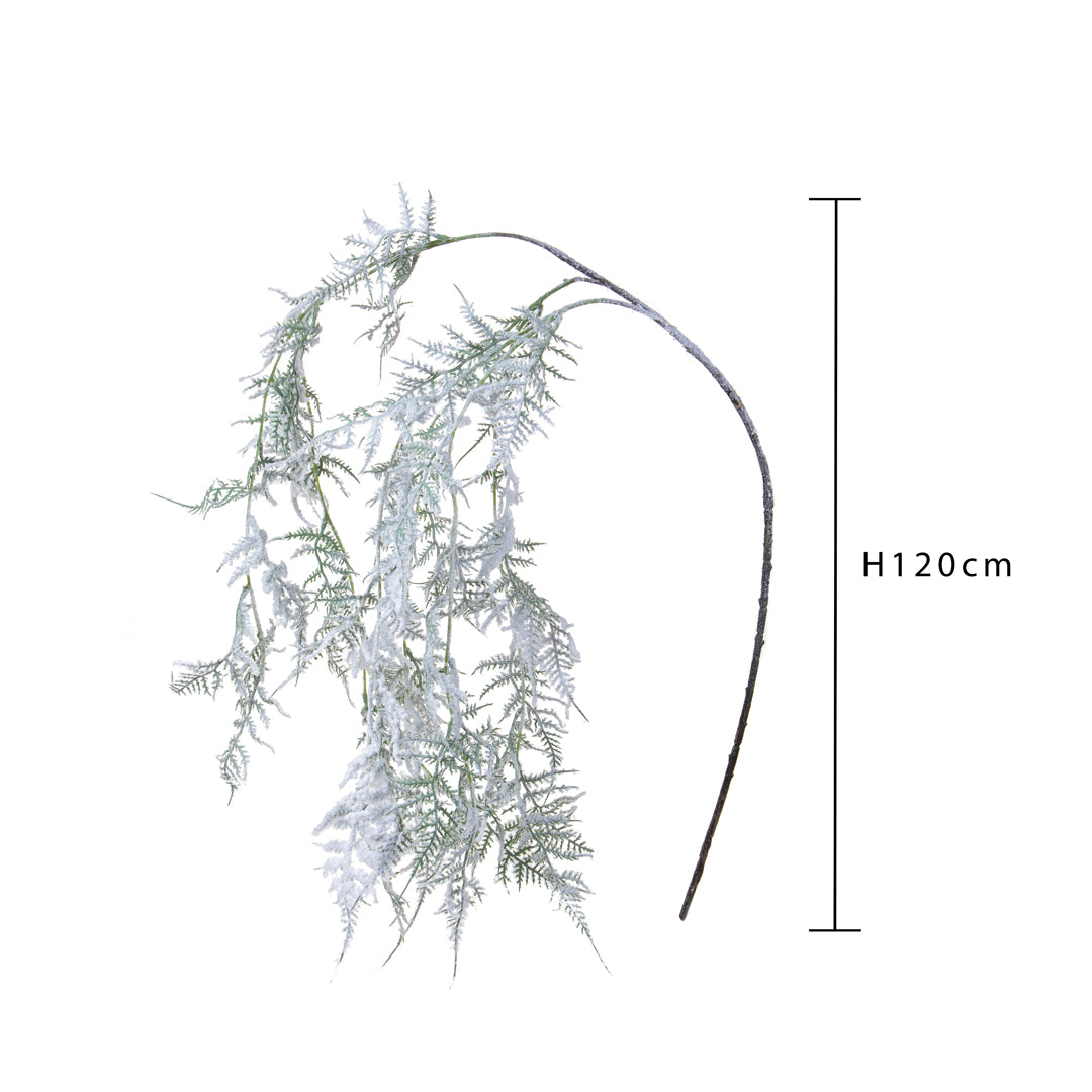Pezzi 6 •Asparagus cad.con neve e glitt • H 120 cm