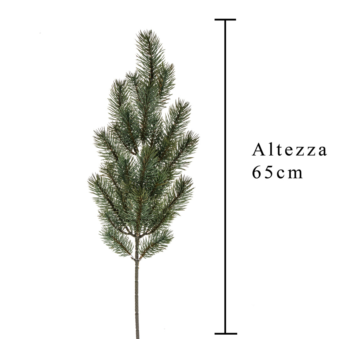 Pezzi 12 •Abete ramo • H 65 cm