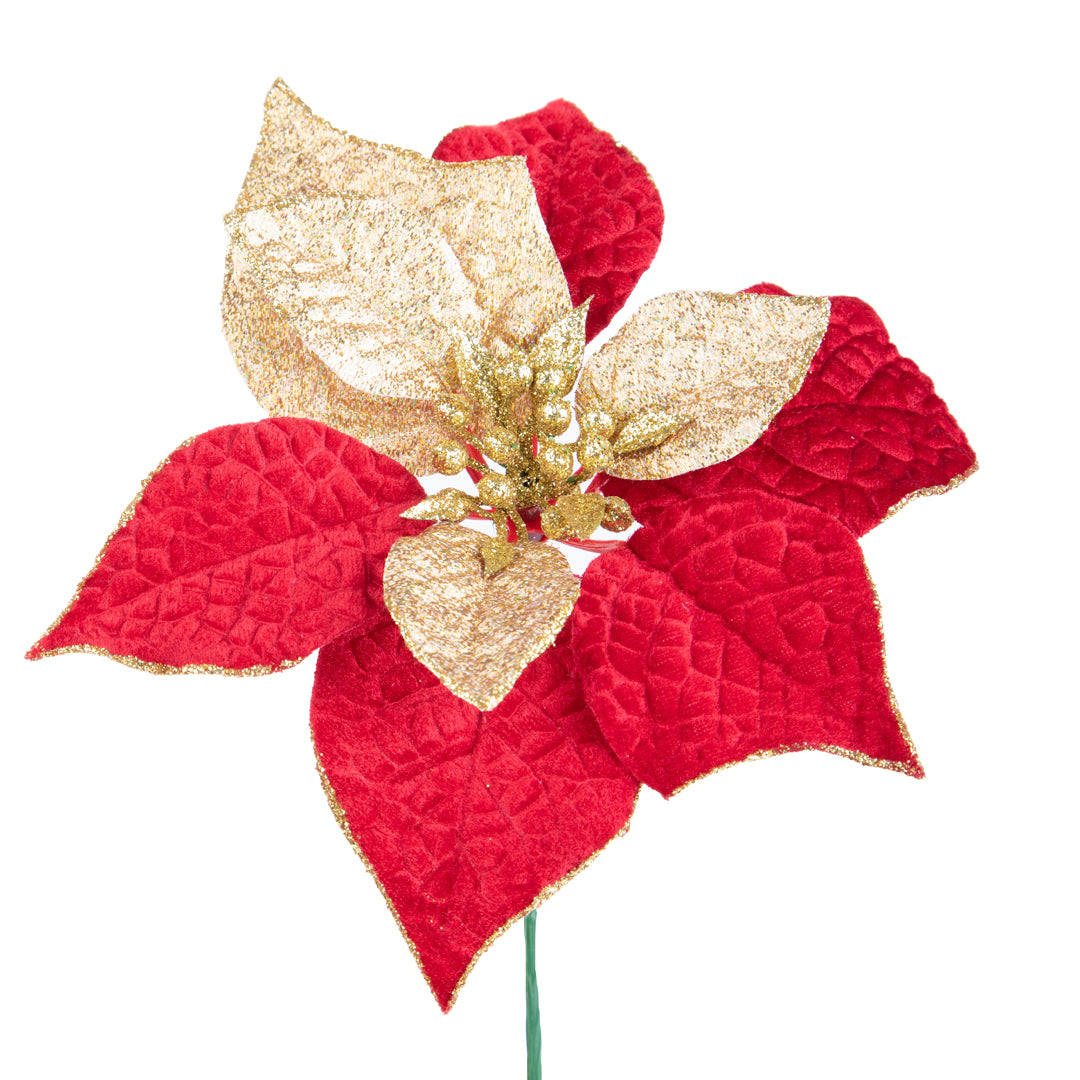 24 Pezzi • Pick con stella • 22 cm