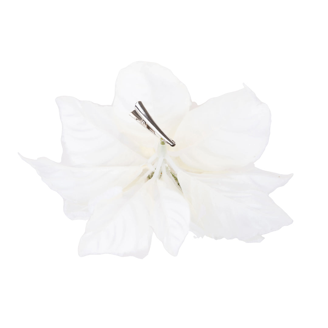 12 Pezzi • Stella Con Clip con Neve • 5 cm