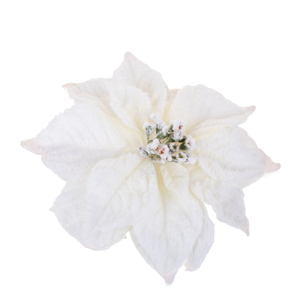 12 Pezzi • Stella Con Clip con Neve • 5 cm