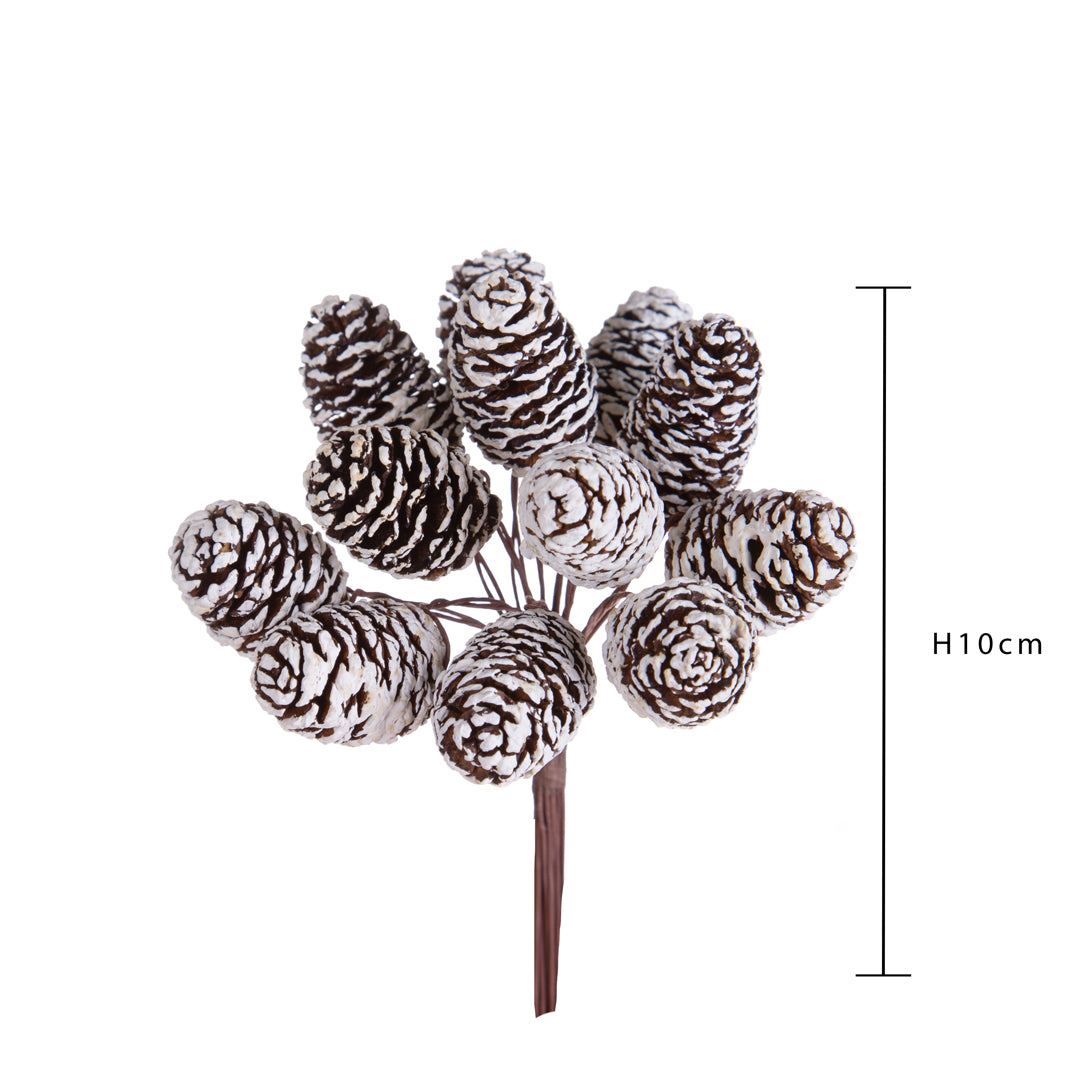 Pezzi 12 • Pick 12 pz mini casorina • H 10 cm