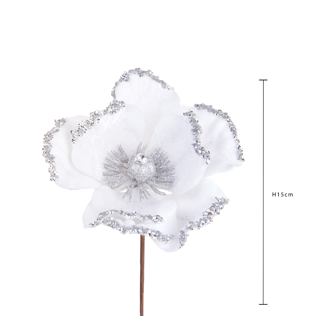 12 Pezzi • Pick Catleia • 15 cm