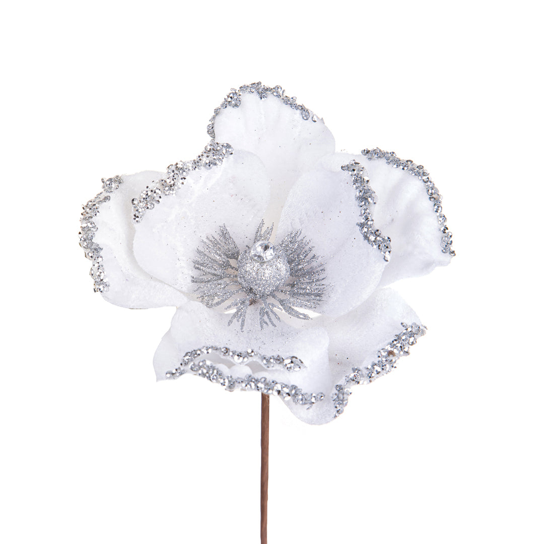 12 Pezzi • Pick Catleia • 15 cm