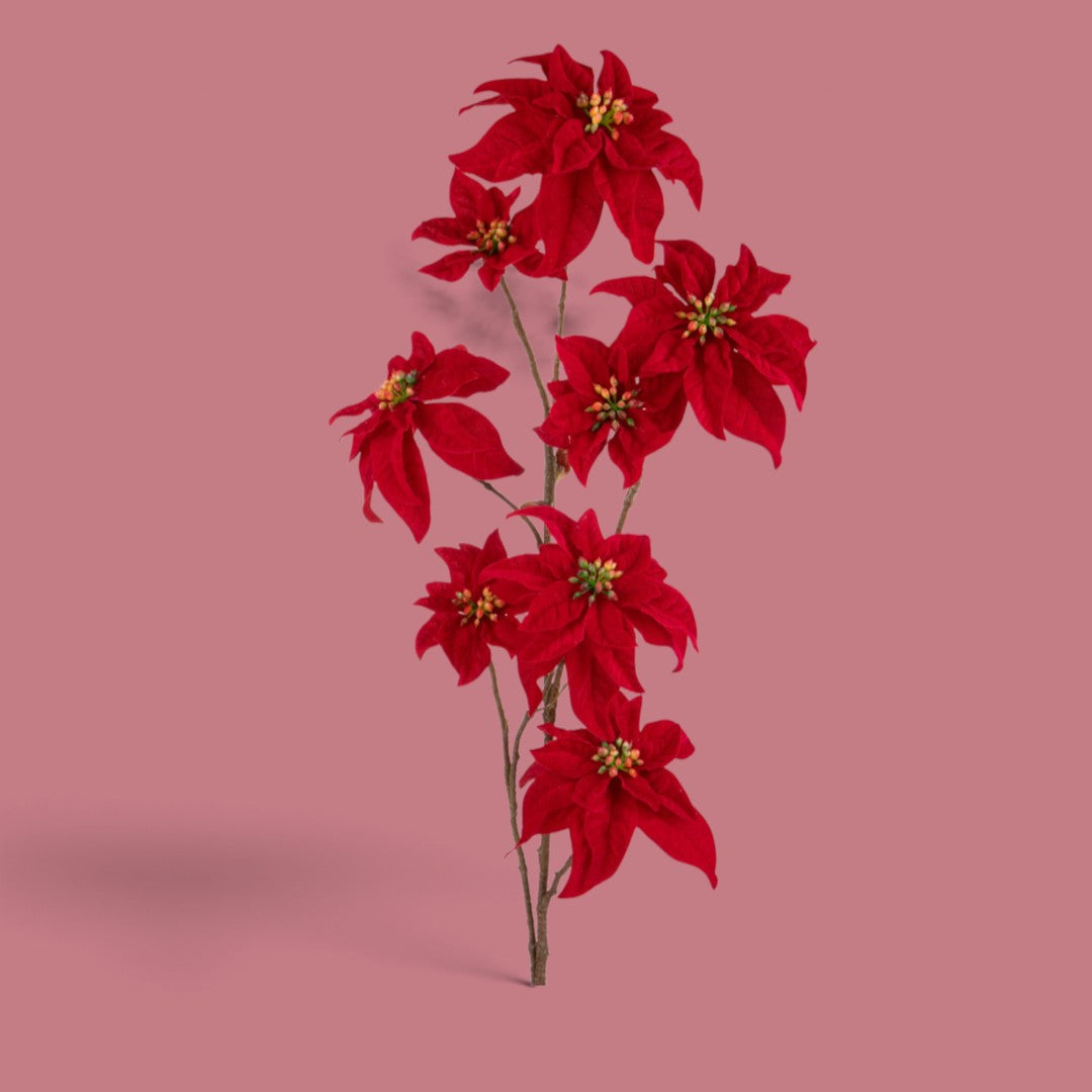 Pezzi 6 • Stella natale • H 106 cm