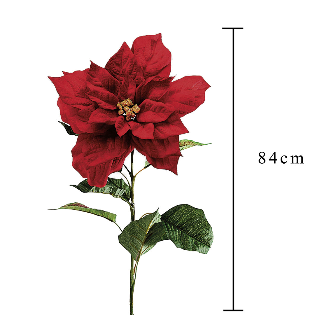 Pezzi 12 • Stella natale • H 84 cm