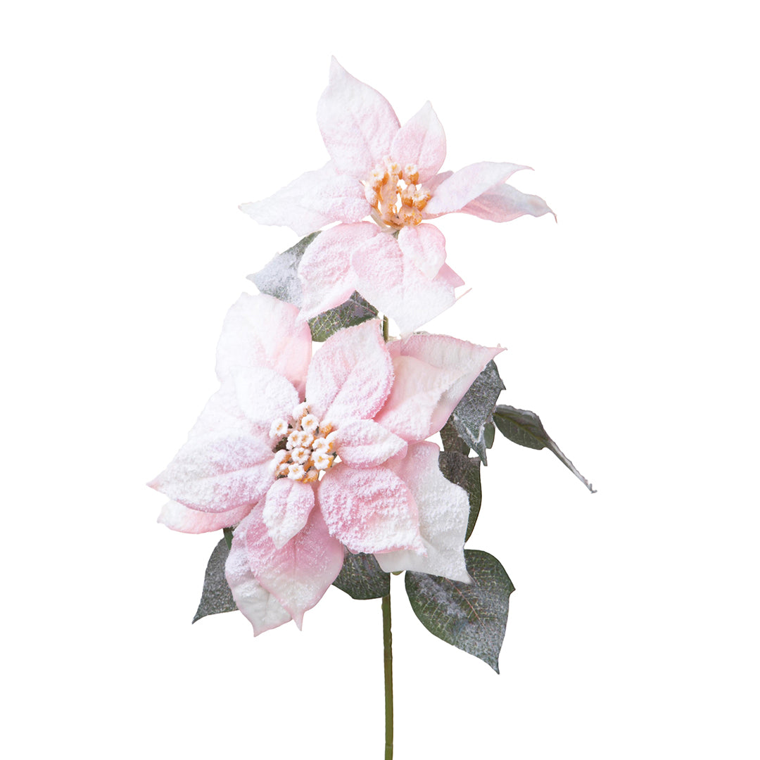 3 Pezzi • Stella natale per 2neve • 53 cm